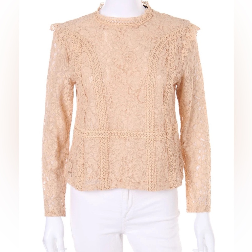 Zara Nude Rose Lace Embroidered Blouse, Fully Lined Sz M